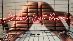 Cuck's Wet Dream (Audio)