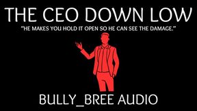 The CEO Down Low Audio