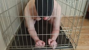 Your place is in the cage if I&#039;m not fucking your ass. Femdom pegging fetish