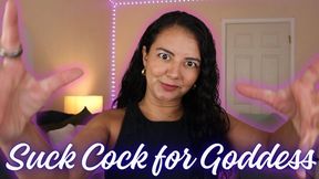 Suck Cock for Goddess