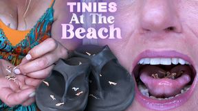 Tinies at the Beach 4k