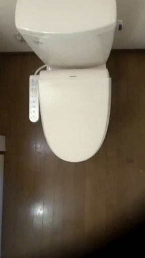 *** Girl Toilet Sex Voyeurism 4-2