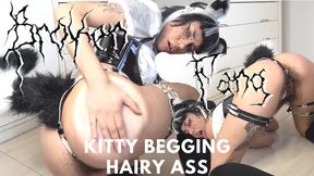 Breed My Wild Hairy Pussy Doggystyle – Begging for Your Raw Cum Load