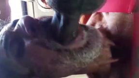 boy mandrak vaio nam inha sala de massagem
