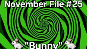 Vox's November Files 25 - "Bunny"