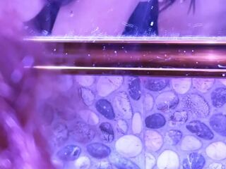 ENCUENTRO a mi AMIGA en el baño y COJEMOS hasta hacerle CREAMPIE