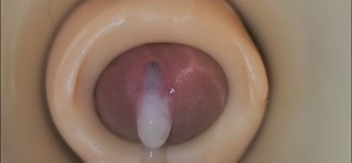 Inside a Fiesh Lite with Huge Cumshot
