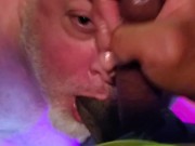 Bear gets a facial in the office