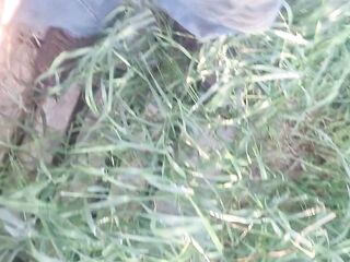 Older large dong peeing outdoor in front yard