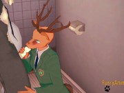 Furry Yaoi Compilation