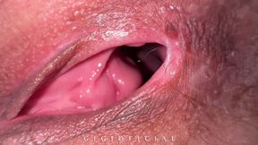 Life Story of Porn Model Gigioficial
