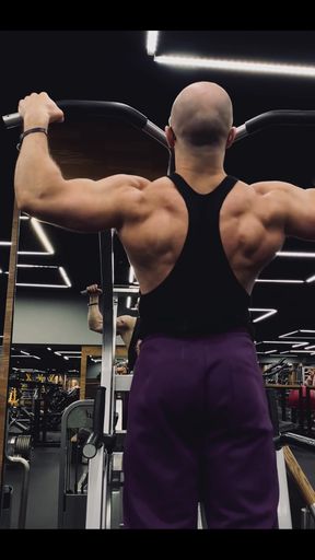 5th Exercise I Did Pull Ups