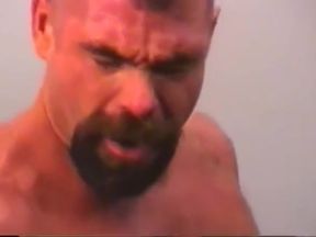 Big bear trucking company (1)