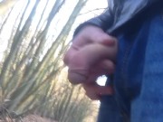 Pissing in public and flashing my dick to a runner past by