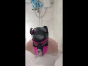 Puppy splash about in bath