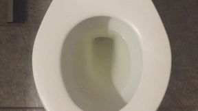 I PEE GOLD U WEIGH GOLD WITH A CALCULATORR