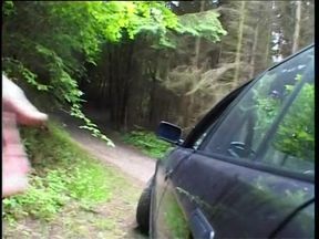 Picked up blondie gets fucked and facialized