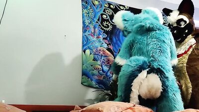 Dog bangs a fox and cums on his face - Fursuit yiff