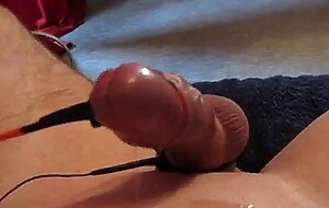 Electro Stimulation - Hands Free Cum Shot