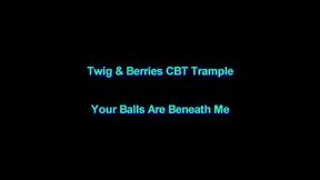 Your Balls Are Beneath Me