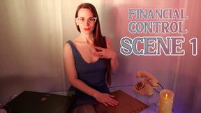 Financial Control: Scene 1