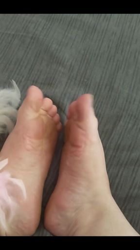 My Soft Soles