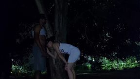 Dirty wife gets fucked and cummed inside on a rainy night in public