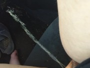 Peed in my car again, Issa Lot.