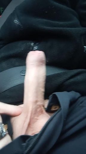 Stiff cock