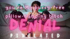 you are My pussy-free pillow-humping bitch DENIAL