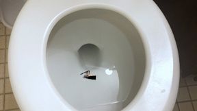 Tiny Ship In Giantess Toilet 1080 smaller
