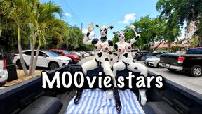 MOOvie stars