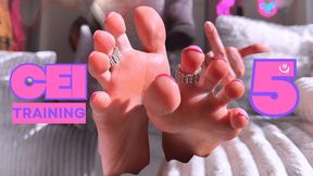 CEI Training: Part 5 - Permanent Ownership