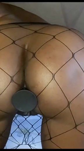 Fishnet Buttplug Anal Masturbation