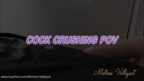 Cock Crushing POV