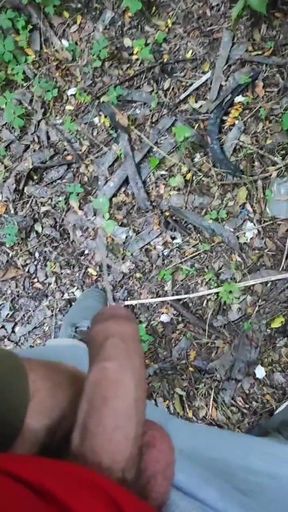 The first time he sucks in the forest and pisses