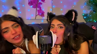 ASMR TWO Cats Flirt and Lick Your Ears with Eye Contact layered  sounds - CorneliustheCat ASMR