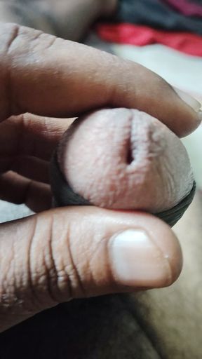 Indian Artist Sperm Available for reproduction