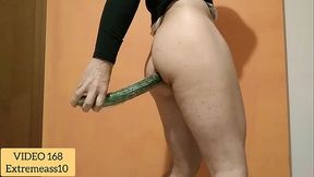 40 centimeters of Dutch cucumber