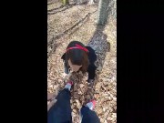 Come esibire moglie Italiana porca legata prima volta BDSM legata in pubblico lago scopata nel bosco