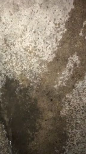 Pissing outside hope neighbors don't see me