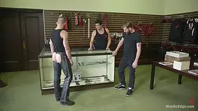 New Kink Stud Gets Private Edging Session On His First Day At Work