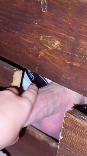 Poolside Peepers Turned Playmates - Our Wettest Holiday Surprise!