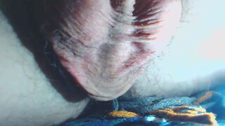 Hairy balls close-up orgasm