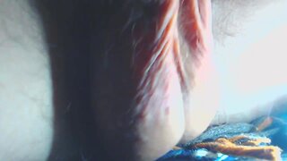 Hairy balls close-up orgasm