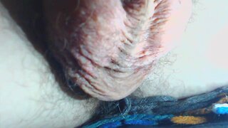 Hairy balls close-up orgasm