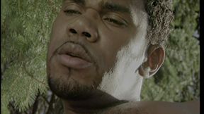 Beautiful Blonde Fucked by Black Man in the Woods