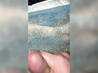 each day jack off 08/30 - my knob drips precum until I cum - jack off challenge