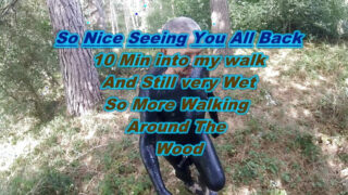 Dojrzali brytyjscy gejowscy niewolnicy z piercingiem biorą brutalne analne ruchanie na świeżym powietrzu w miejscu publicznym