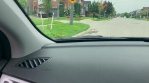 Pranksters - Dante Colle, Kit Cohen butthole slam
